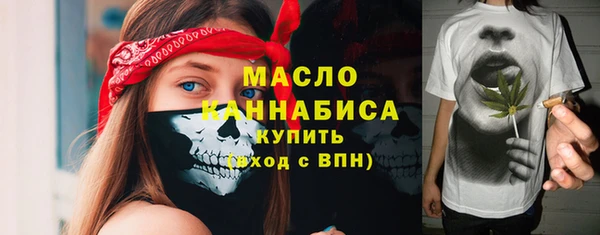тгк Богородицк
