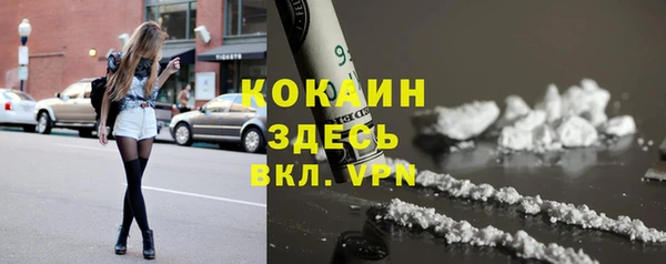 тгк Богородицк