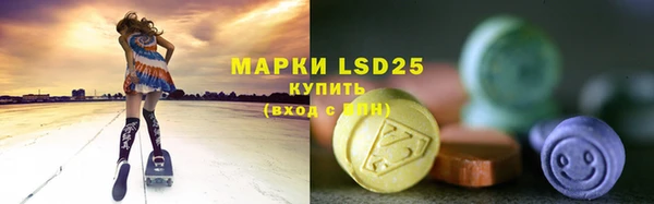 тгк Богородицк