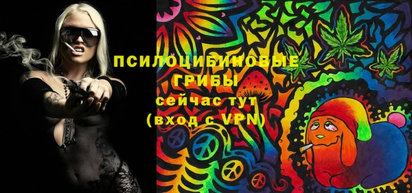 дурь Богородск