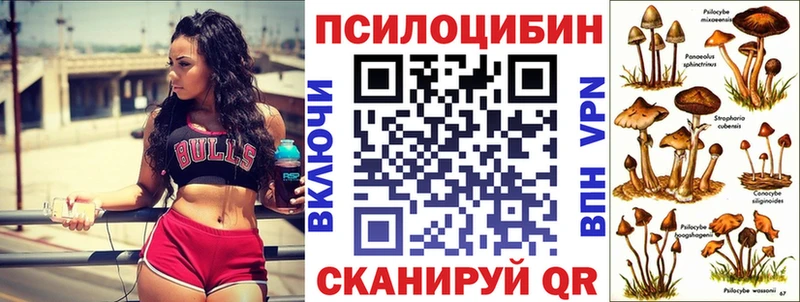 Псилоцибиновые грибы ЛСД наркота Энгельс